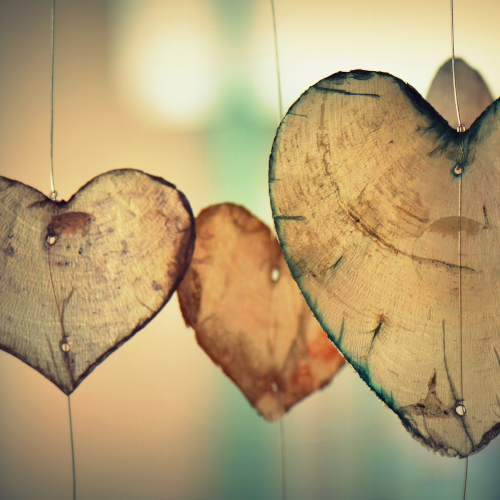 heart-500×500 Anleitung